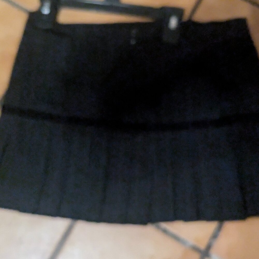 Black gorgeous pleated skirt